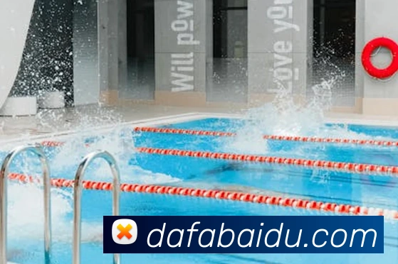 App Interface Preview