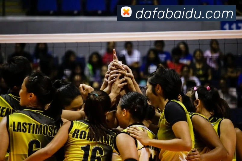 大发彩票APP 封面图